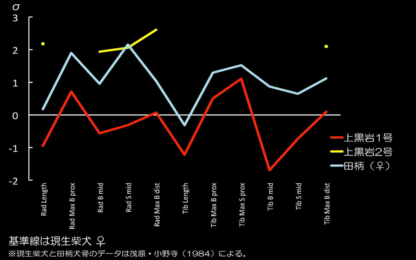 橈骨と脛骨の計測値11項目の偏差折線